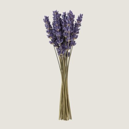 Dried Lavender Bundle