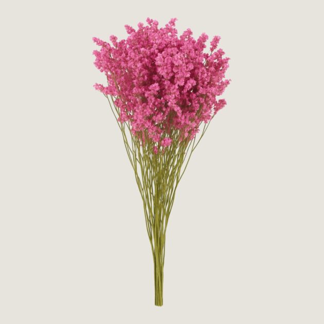 Molho do Limonium