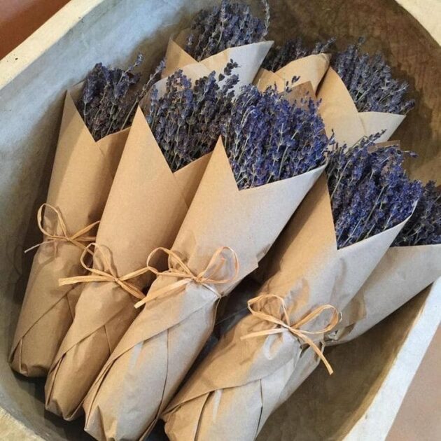 Elegante e perfumado, o molho de lavandas secas traz o charme rústico do campo para dentro de casa. As suas hastes finas e flores lilás exalam um aroma suave e relaxante, perfeito para decorar ambientes, criar ramos ou simplesmente perfumar discretamente o espaço. Um clássico intemporal da decoração natural.