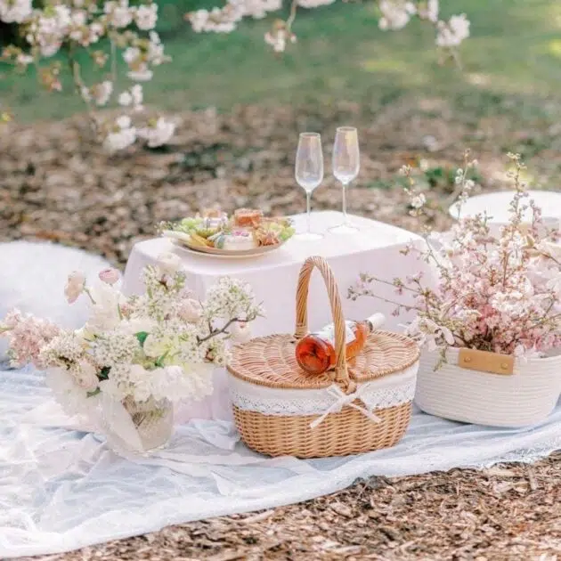 Cesta Provençal de Piquenique